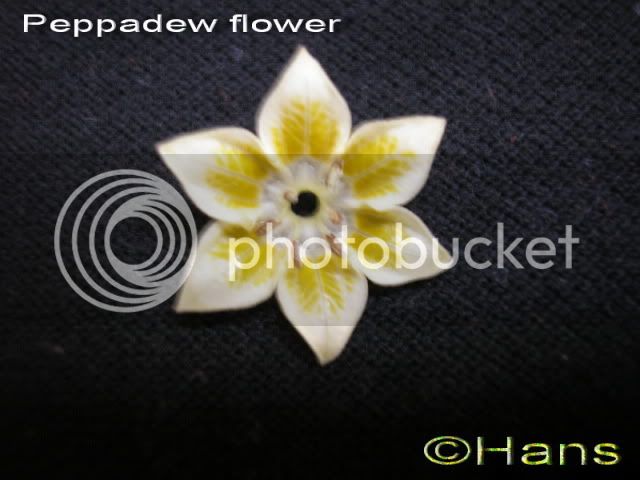 peppaflower.jpg