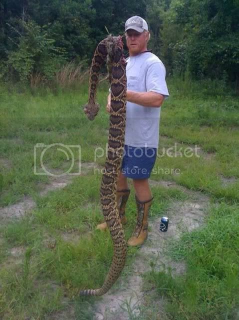rattlesnake08-31-10.jpg